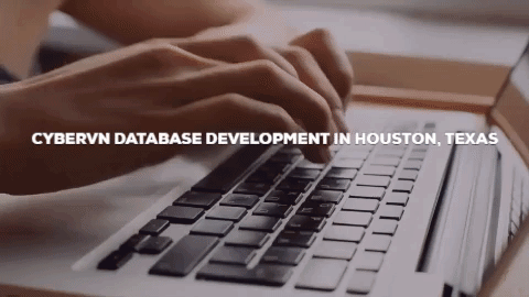 database development houston texas GIF