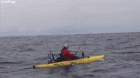 Fisherman Catches Massive Marlin