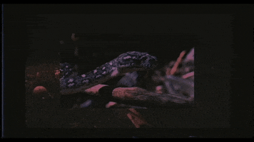 Feels Music Video GIF by Ambré