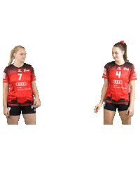 Volleyball Svf Sticker by Rotes Rudel