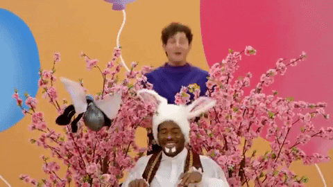 Happy Peter Rabbit GIF by The Wiggles