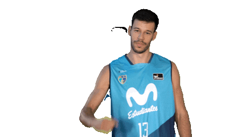 Liga Endesa Basketball Sticker by ACB