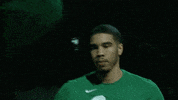 high five boston celtics GIF by NBA