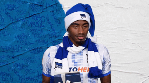 Bundesliga Winter GIF by Hertha BSC