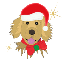 dog flashing Sticker by Tangle Teezer