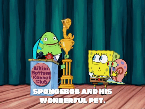 season 6 episode 10 GIF by SpongeBob SquarePants