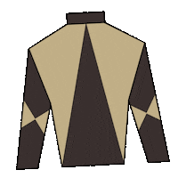 Queens Plate Sticker by Woodbine