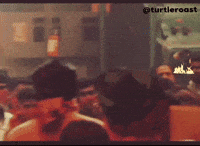 Turtleroast GIF