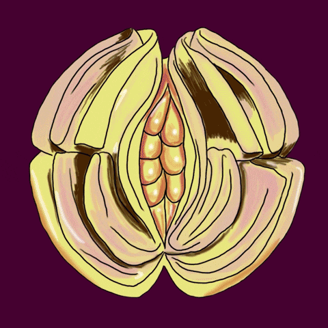 Dinner Party Art GIF