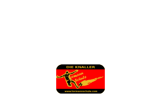 Tormannschule giphyupload goalkeeper marco goalie Sticker