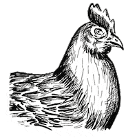 Schnauze-und-company wurst huhn fleisch schnauze und company Sticker