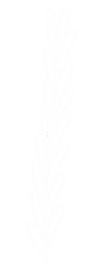 Leaf Decoration Sticker