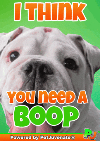 PetJuvenate petjuvenate henlo hooman fren love rescue dogs treatos and woofer for pupper GIF