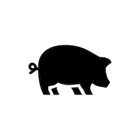 reconnews pig reconnews Sticker