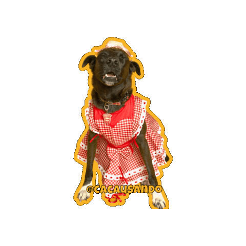 Fun Love Sticker