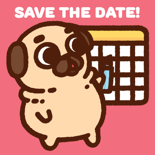 GIF by Puglie Pug