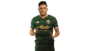Portland Timbers Mls Sticker by Timbers