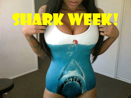 rogskel giphyupload GIF