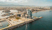 GIF by trnd