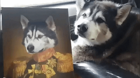 teodor0708 giphygifmaker GIF
