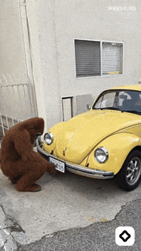 Mood Feels GIF by Darwin