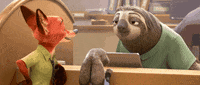 GIF by Disney Zootopia