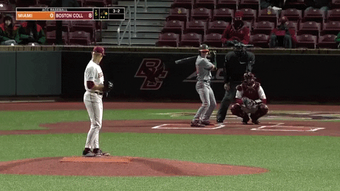 typicalbaseballfan giphyupload GIF