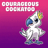 Never Look Back Bird GIF by VeeFriends