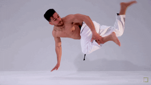 sport fighter GIF by Karate Combat