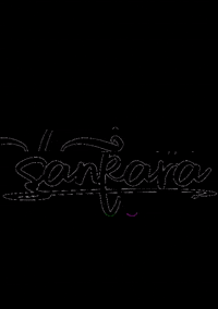 intheflight sankara GIF