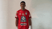 Tejuroqueteamo Elunicoenmicorazon GIF by Club Pachuca Tuzos