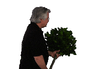 HandelskwekerijGova foryou laurier decorum gova Sticker