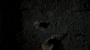 Ll Cool J GIF by CBS