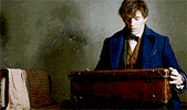eddie redmayne GIF