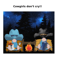 Wild West Gnome GIF