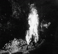 Cinema Peak GIF