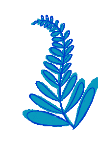 Flor Azul Sticker by Alejandro Eder