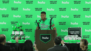 Video Game Football GIF by HULU