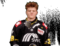 Del2 Seidenstadt Sticker by Krefeld Pinguine
