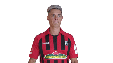 Sc Freiburg Football Sticker by SCF