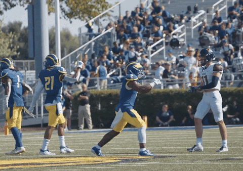 College Sports Football GIF by Delaware Blue Hens