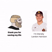Asu Baseball GIF
