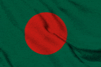 Independence Day Flag GIF