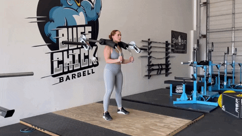 megsquats giphyupload GIF