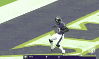 2018 Nfl Football GIF by NFL