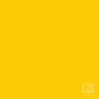 borussia dortmund football GIF by Bundesliga