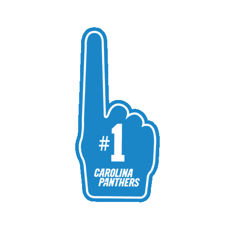 National Football League Sticker by Carolina Panthers