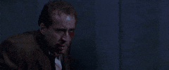 Nicholas Cage GIF