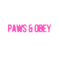 PawsandObeyDogTraining balanceddogtraining balanced dog training pawsandobeydogtraining paws and obey dog training Sticker