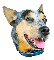 Dog Sticker by This Farm Wife